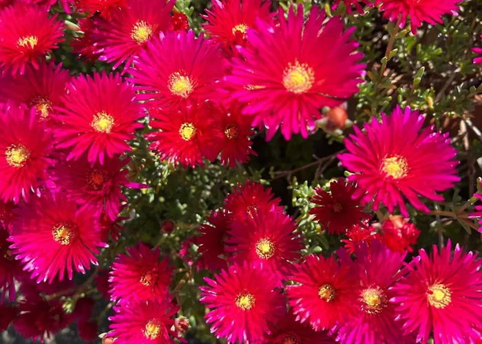 アパート Poggio&tramonto